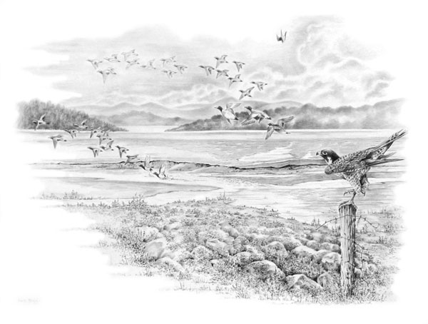 Hunting pair